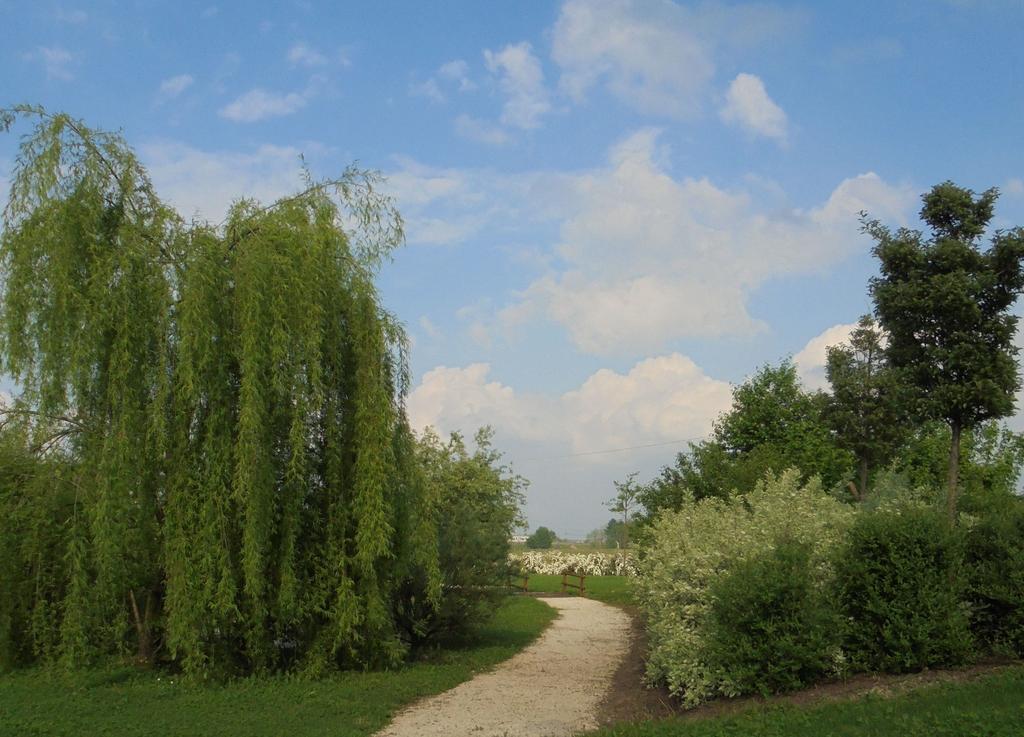 La Casa Di Campagna Villa Reggio Emilia Kültér fotó