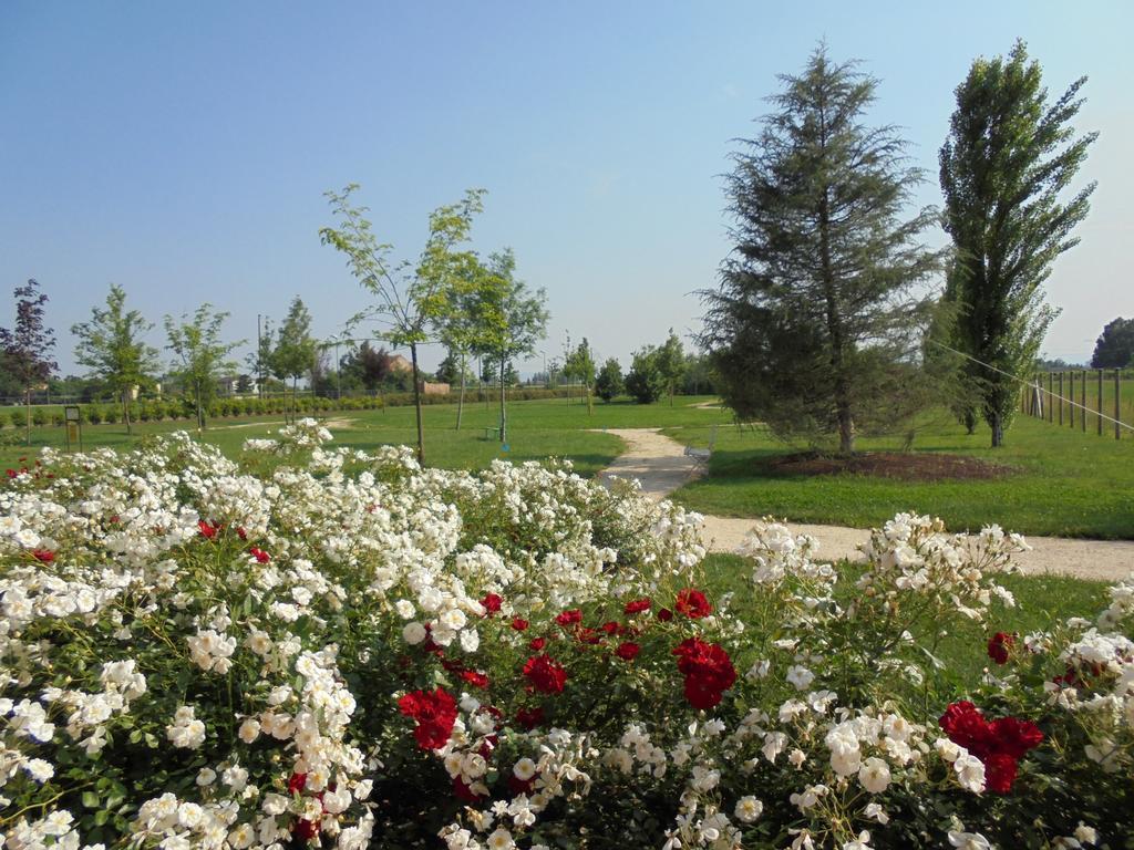 La Casa Di Campagna Villa Reggio Emilia Kültér fotó