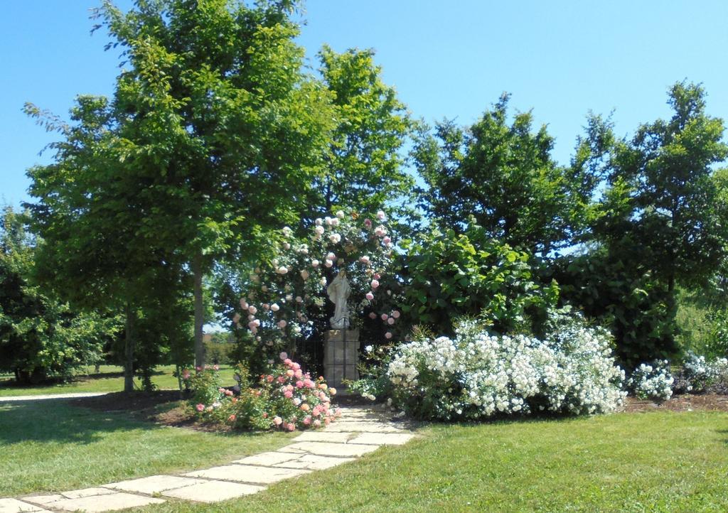 La Casa Di Campagna Villa Reggio Emilia Kültér fotó