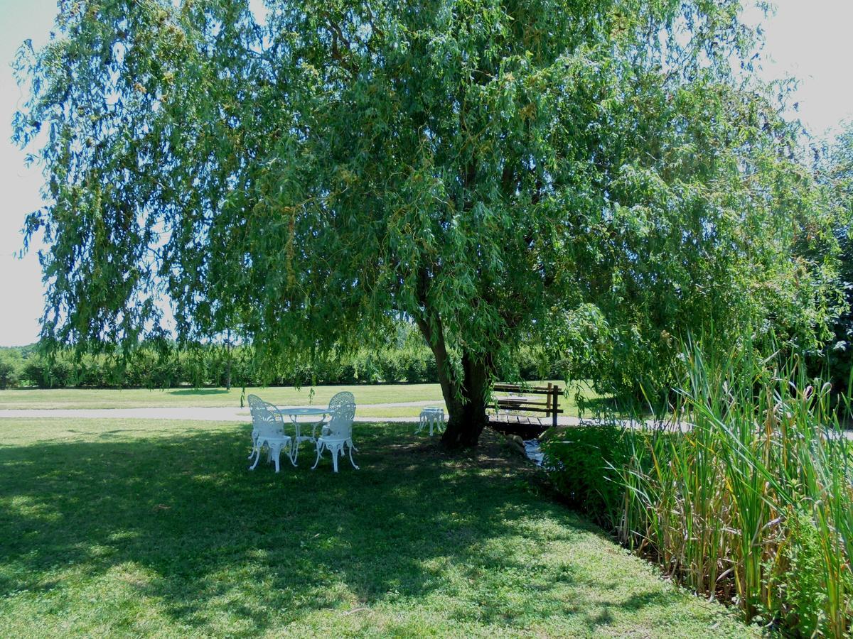 La Casa Di Campagna Villa Reggio Emilia Kültér fotó